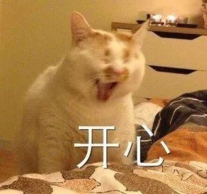 定了！东莞能坐高铁直达湛江、汕头啦！开通时间......