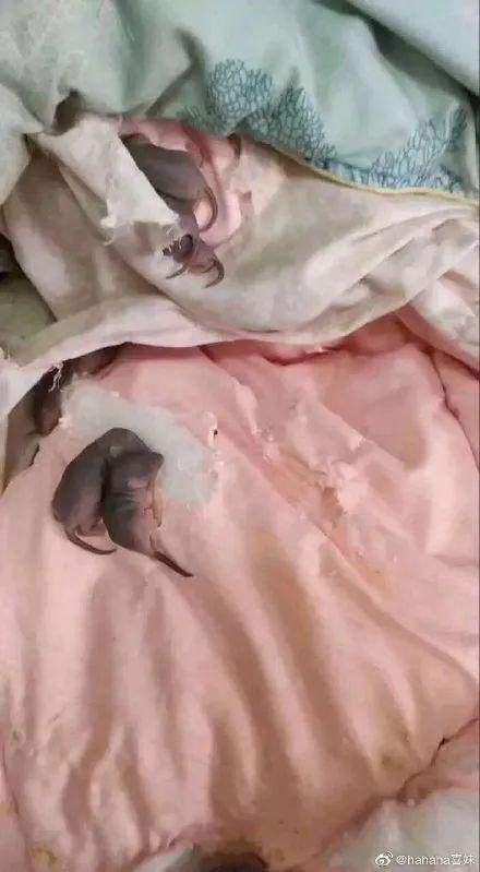 终于！东莞中小学确定返校时间！但必须要...
