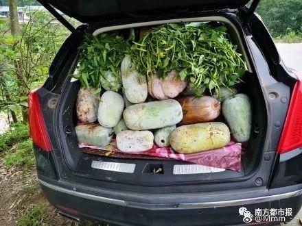 返程行李箱霸屏，可尴尬一幕出现了……一大波媳妇集体吐槽