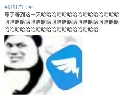 钉钉崩了？东华学生：我们一点事都没有…