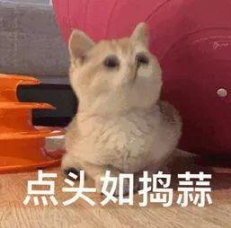 重磅！全国怕老婆排名新鲜出炉！东莞男人竟排在…