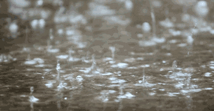 紧急！东莞人的春节要“泡汤”了！年初四开始都是雨雨雨……