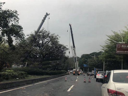 今天，东莞一辆大货车冲上绿化带！