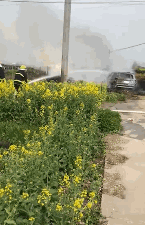 微信群疯传一车主“烧草救车”，结果反烧自己车？