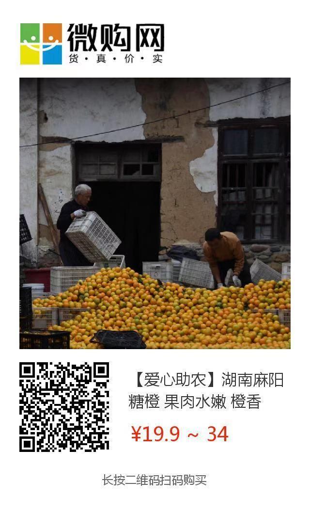 助力麻阳冰糖橙走出大山，留守老人一生良心种植，5斤仅19.9元，甜润爽口，生态健康！