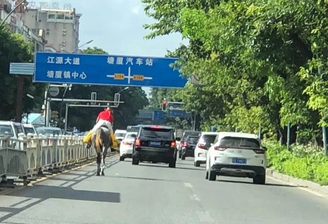 惊呆!东莞男子路上骑马“狂奔”!