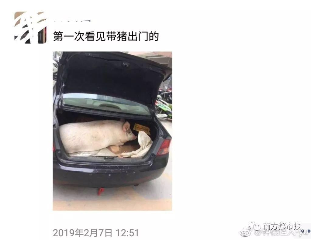 返程行李箱霸屏，可尴尬一幕出现了……一大波媳妇集体吐槽