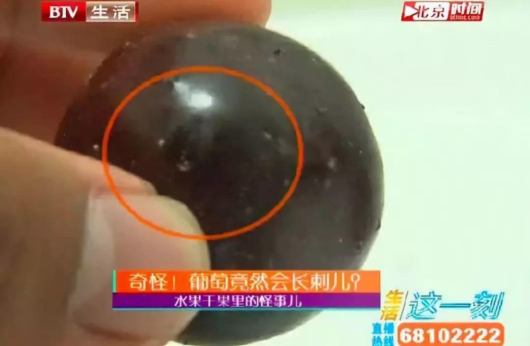 小心！葡萄长这样的，千万别吃！里面可能全！是！虫！