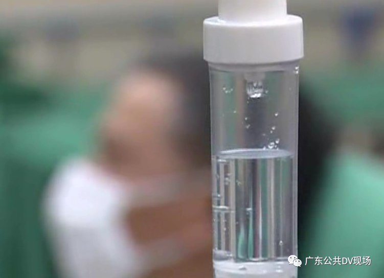 东莞夏天常见的这种小动物，多人被咬伤送院！这个情况一定要谨慎！