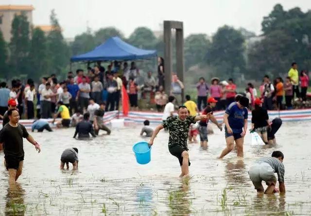 东莞最新网红休闲胜地~12.8元抢东江印象生态园观光票，海上丝路长廊、印象风车、孔雀观赏····休闲假日！秋游拍摄~共度欢乐时光