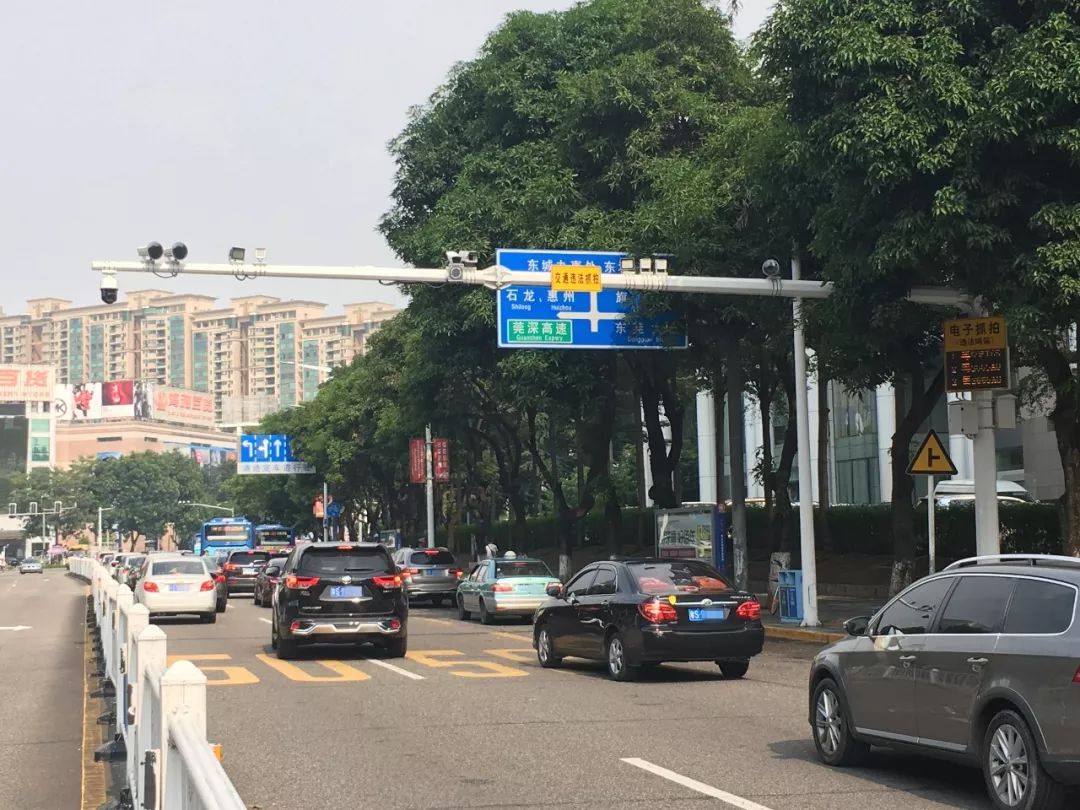 粤S注意！即日起东莞大规模整治，已经有人被罚！