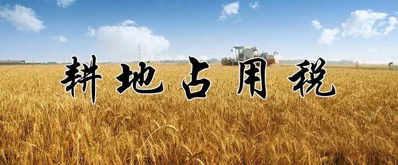 重磅！东莞农村户口的注意！9月1日起要交这些钱了！