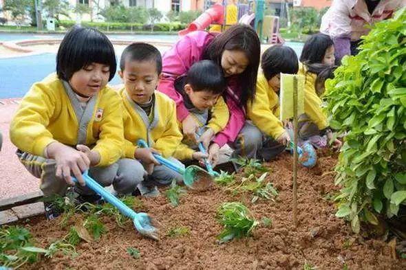 东莞最新网红休闲胜地~12.8元抢东江印象生态园观光票，海上丝路长廊、印象风车、孔雀观赏····休闲假日！秋游拍摄~共度欢乐时光