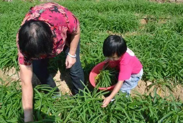 东莞必去景点~4A景区粤晖园~福利送送送！只要：14元，探寻东莞绝美‘紫禁城’探访明清古风岭南园林!