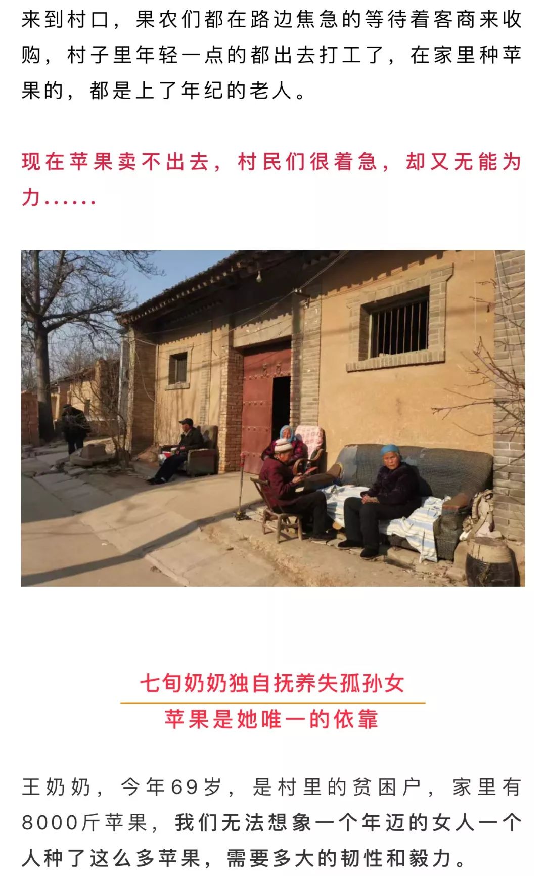 年关将近，紧急求助！陕西300万斤红富士苹果急盼销路，10斤仅29.9元，请大家帮忙转发助力，帮助乡亲们度过年关！