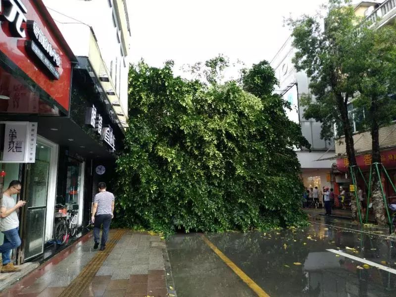 刚刚！狂风暴雨！东莞多辆小车被砸！房屋被砸！太吓人了！