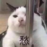 好消息！微信能转移社保了!
