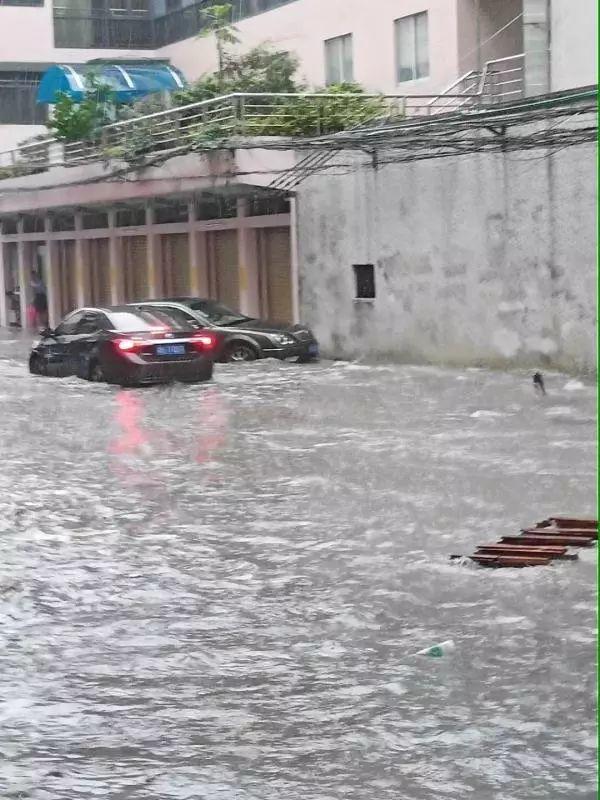 水浸街又来了！雷雨大风+暴雨预警生效！地质灾害预警三级！