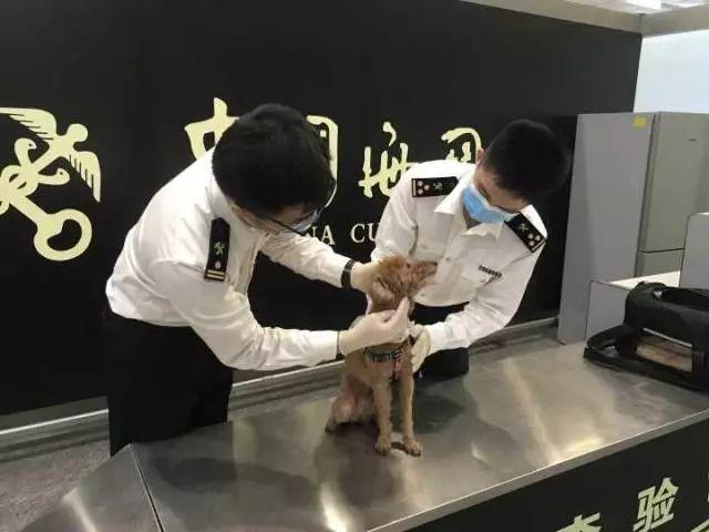 月新规来了！看到第一条就超兴奋！"