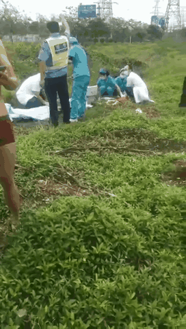 突发！东莞3名小学生溺水！太心痛了！