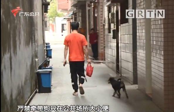 东莞一居委会发通知杀狗，宠物也有感染新冠肺炎风险？官方回应来了！
