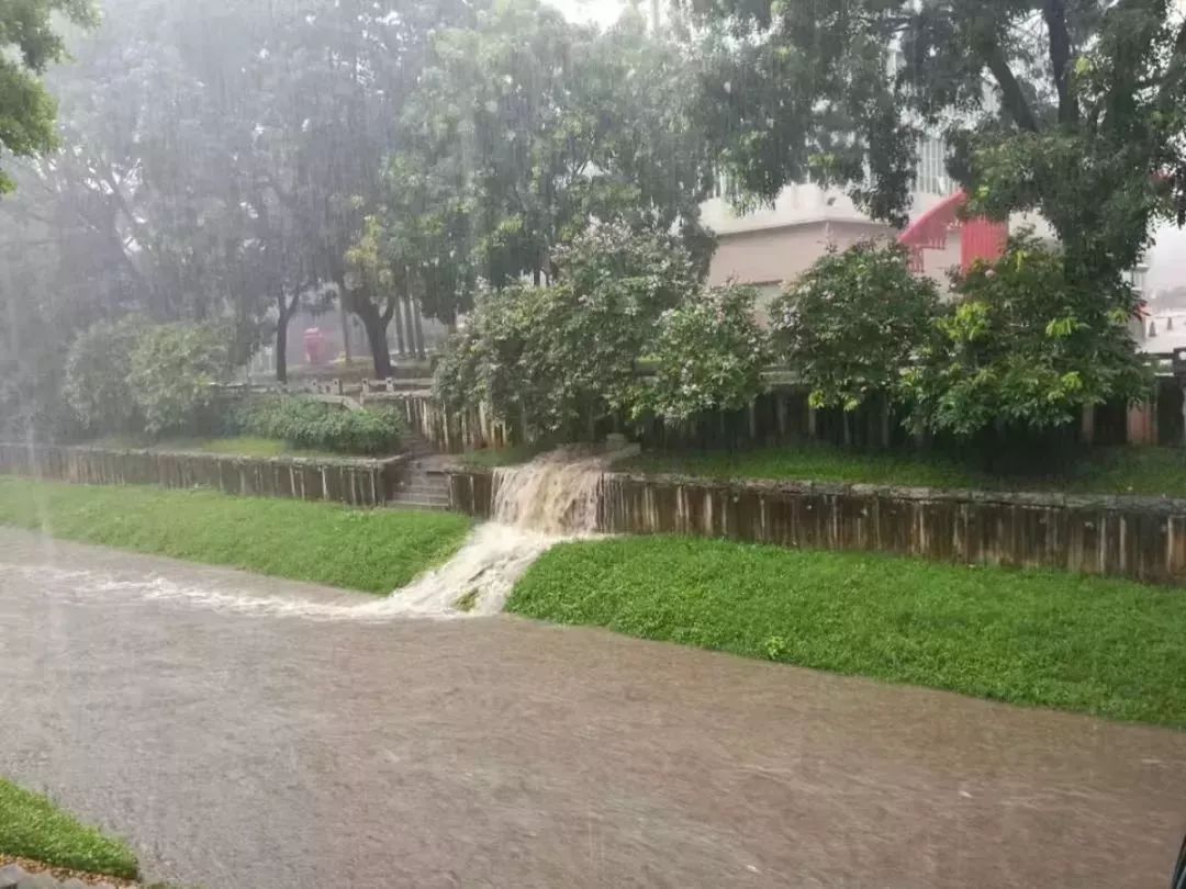 紧急！11号、12号台风将生成！未来几天10级大风+雷暴雨+38度开水套餐来袭！