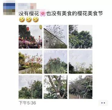 刷爆朋友圈的石排樱花美食节，你去了吗？网友到现场发现…