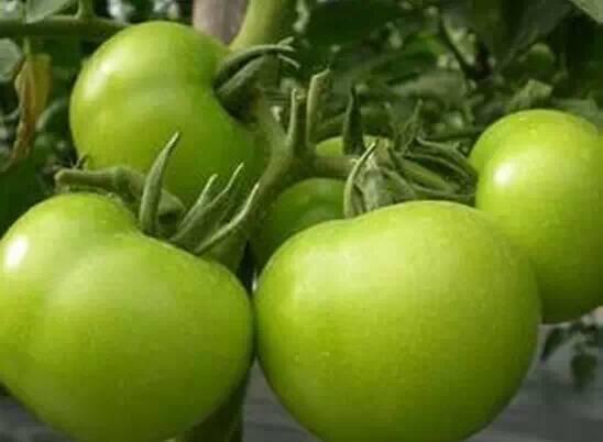可怕！这道夏天常吃的菜，把4岁娃送进医院抢救！奶奶险些晕倒