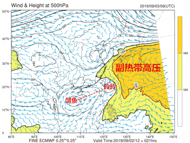 4号台风“剑鱼”已生成！预计登陆广东！双台共舞，东莞将泡水！"