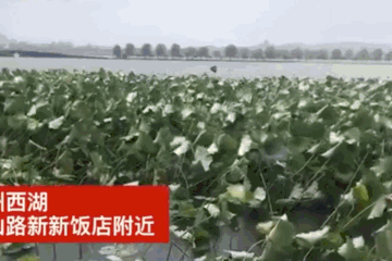 6级风王“利奇马”已致18人遇难！14人失联！刚刚！东莞暴雨橙色预警生效…"
