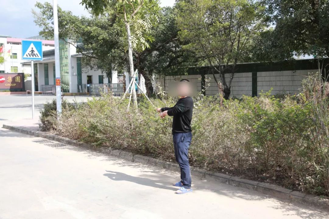 凌晨4点，200余名警力突袭清溪、塘厦、樟木头等这些窝点！现场画面曝光…