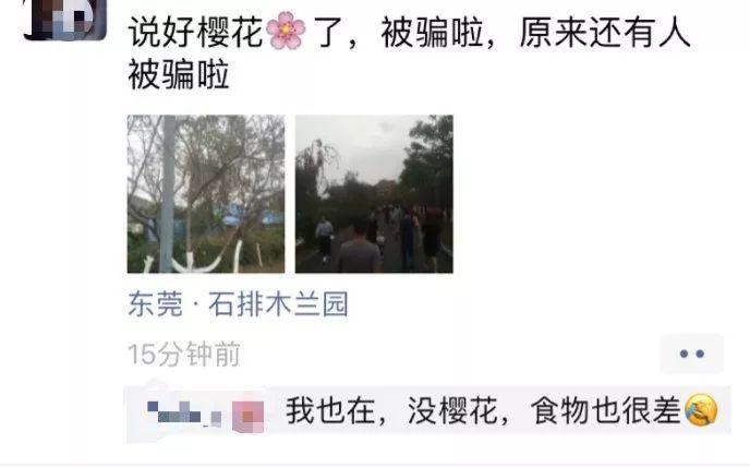 刷爆朋友圈的石排樱花美食节，你去了吗？网友到现场发现…
