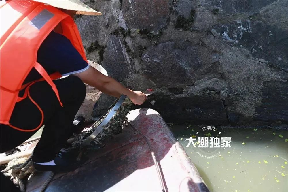 多地已出现，这种东西别误食！寄生虫多达6000条，严重可致死！
