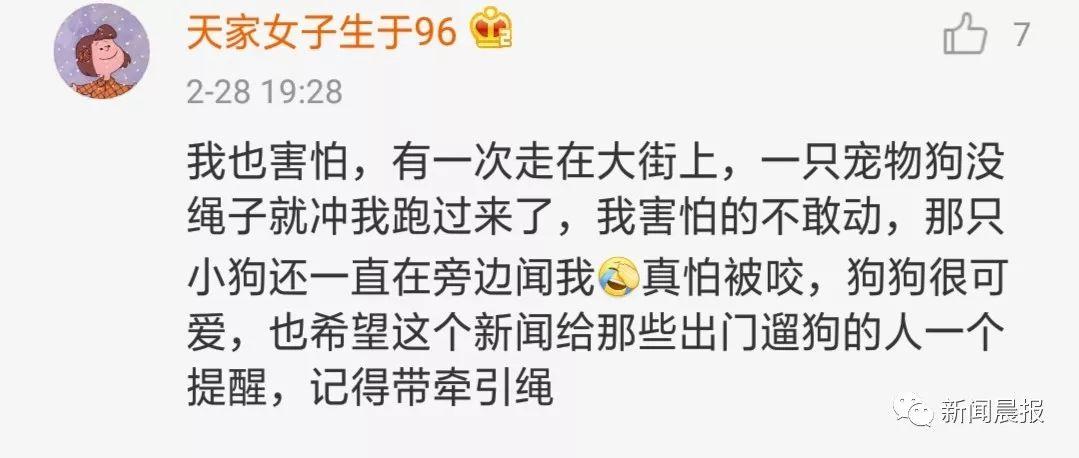 泰迪没吼也没咬，这位狗主人却赔了20万！只因这件事情没做好…