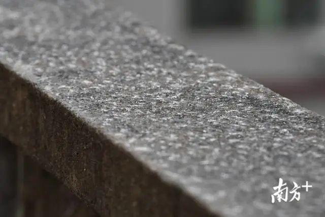 好冷啊！最低温4°C，东莞冻到“发紫”！寒冷天气将持续至……