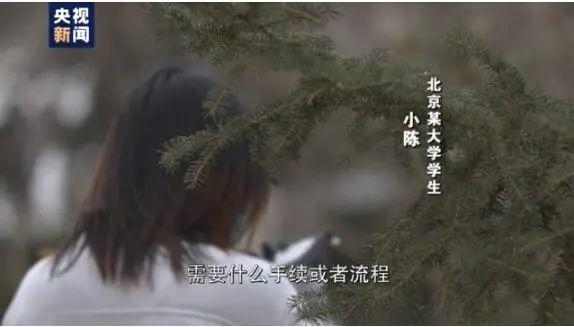 今年，您回家过年吗？