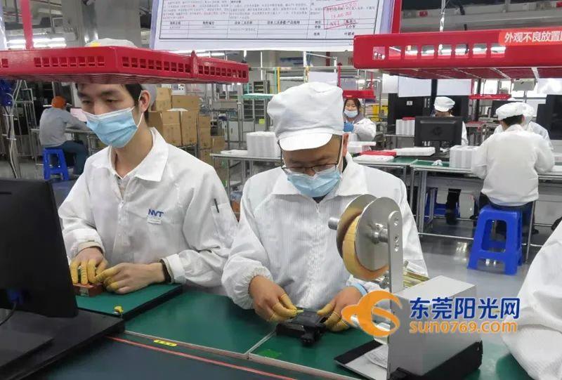 今年，您回家过年吗？