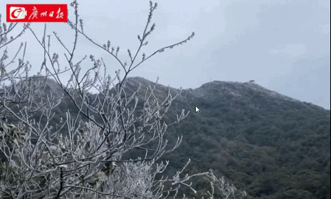 冷空气补刀！东莞人挺住！即将回暖！最高温升到~