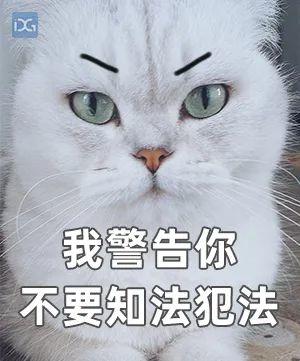 东莞查获8吨“疫区猪蹄”！场面触目惊心！