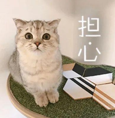 惊险！东莞小女孩被小车碾压！