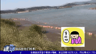 突发！又出现几吨不明猪蹄、鸡翅漂浮在江面上！更恐怖的是……