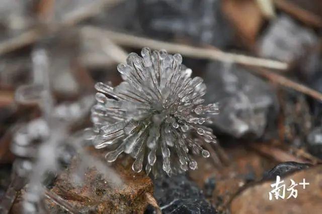 好冷啊！最低温4°C，东莞冻到“发紫”！寒冷天气将持续至……