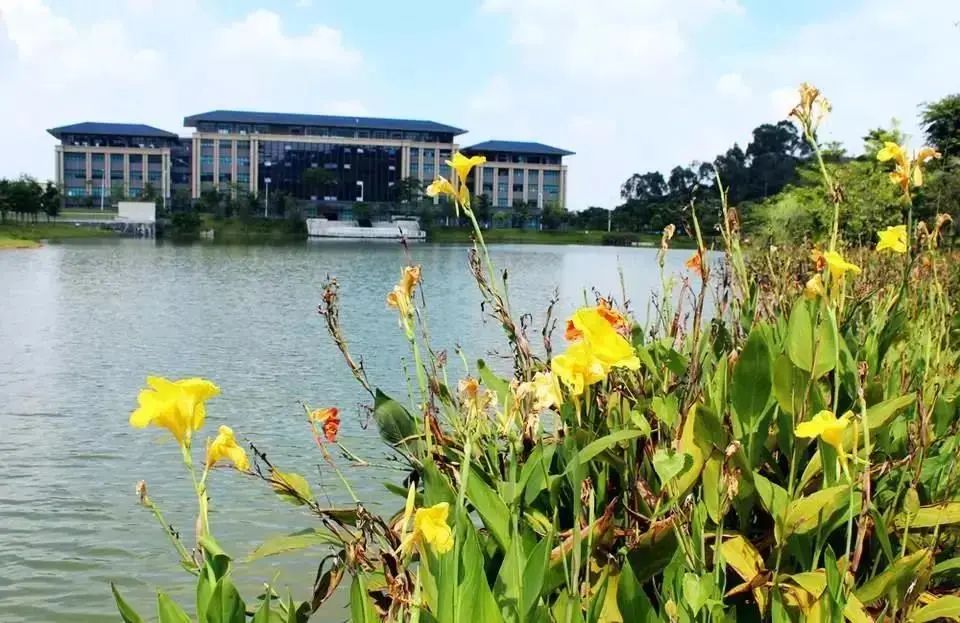 再见了！东莞理工学院城市学院！