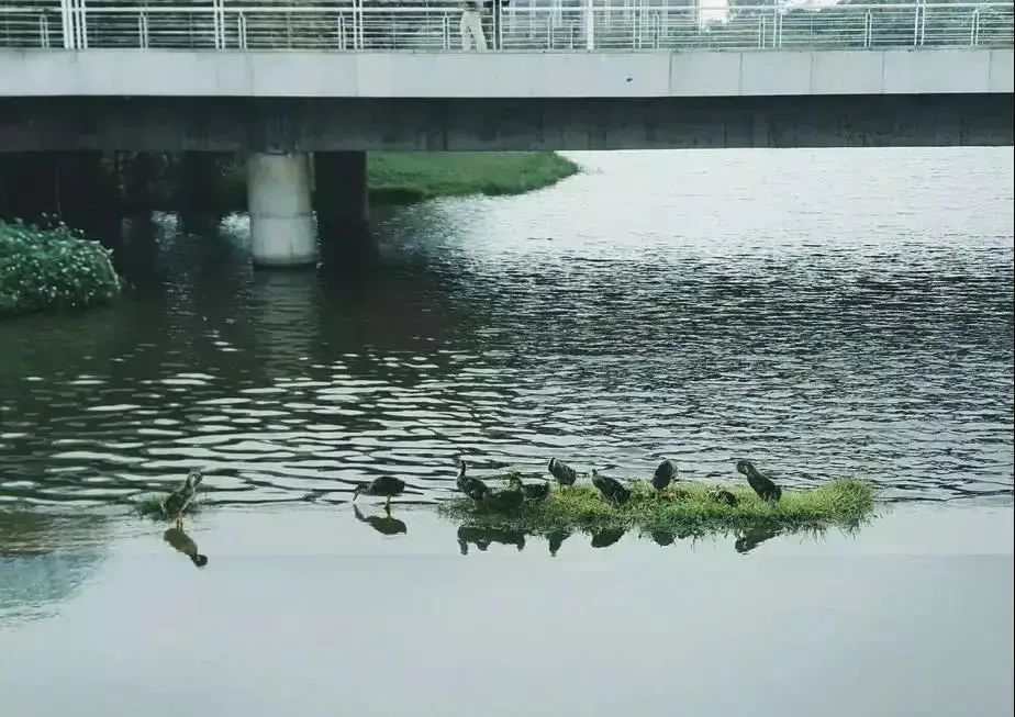再见了！东莞理工学院城市学院！