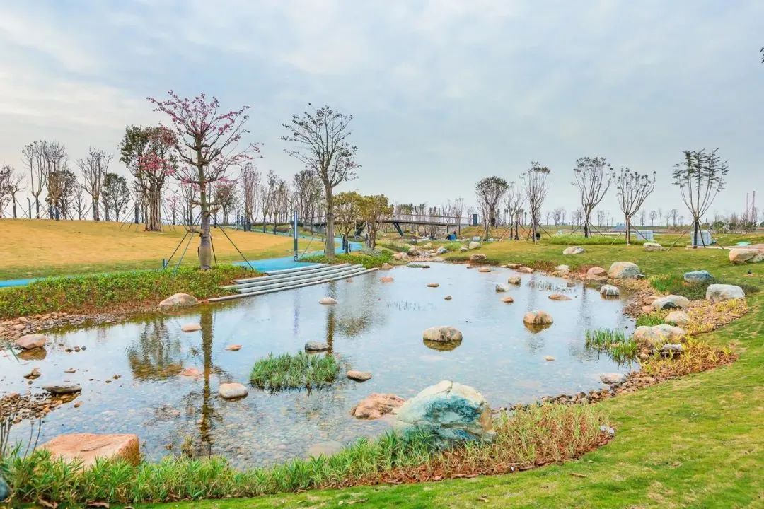 春节想在东莞看“海”？攻略帮你备好了！