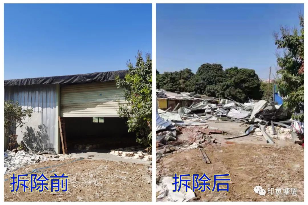 大别墅违建，照拆！东莞多镇再出手