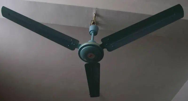00元“果篮”爆红海外！东莞人：只用来吐痰、屙嘘嘘……"