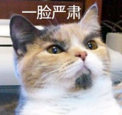 拘！东莞一男子凌晨撞伤环卫工人，冷漠观望后逃逸！