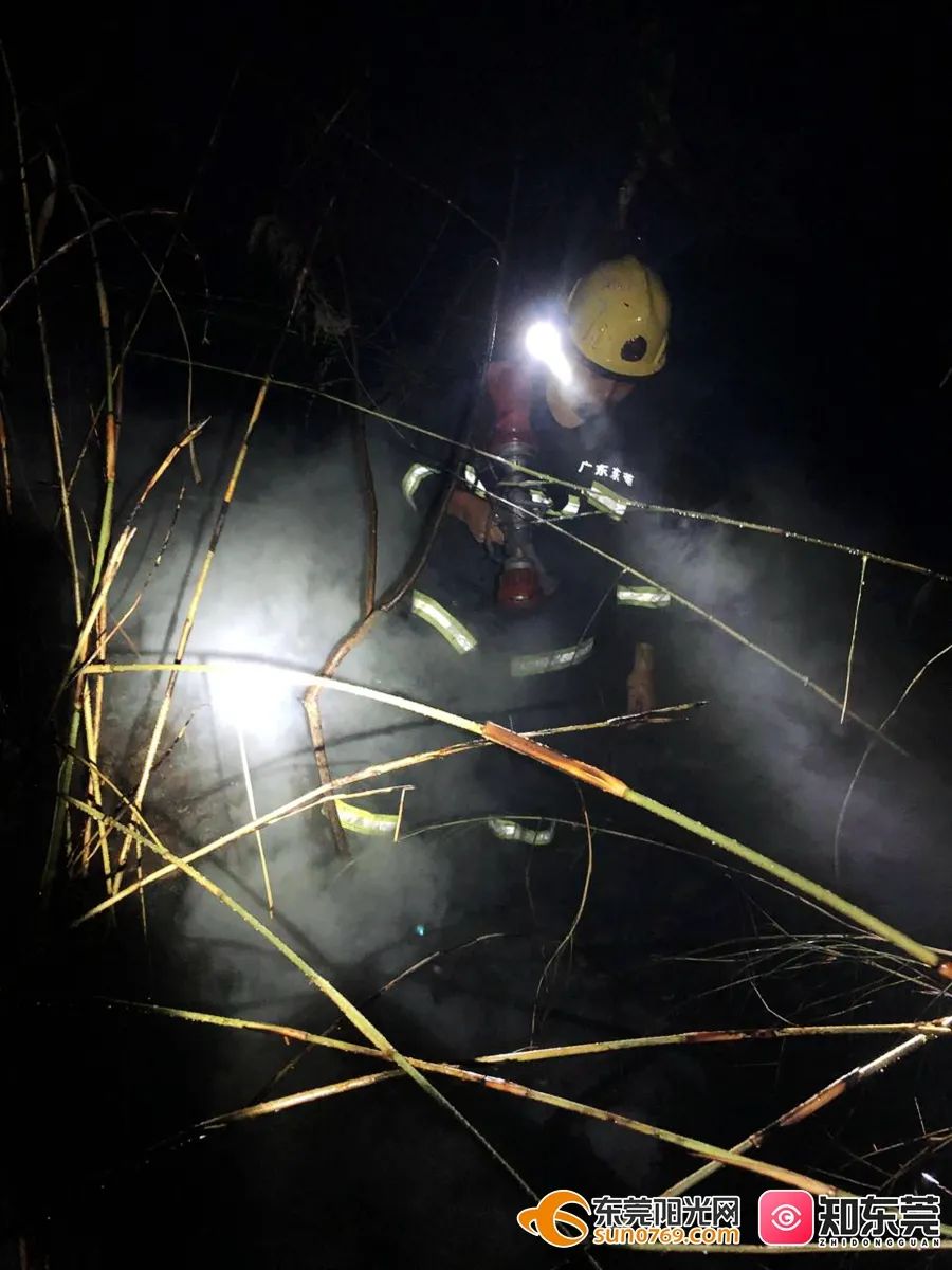 突发山火，裹起浴巾就出警，东莞这位帅哥火了！