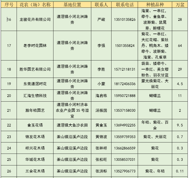 迎春花市关闭，年花年桔去哪儿买？东莞48个采购点超全攻略来了……